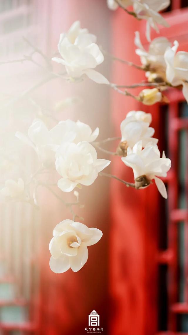 故宫四季美景一览，震撼高清美图预警！