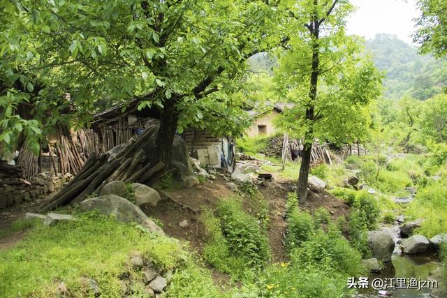 山水人间