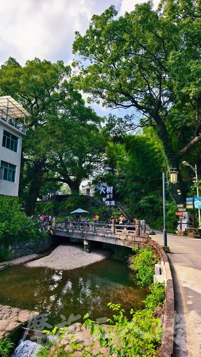 皖浙摩旅二人转——芹川古村篇