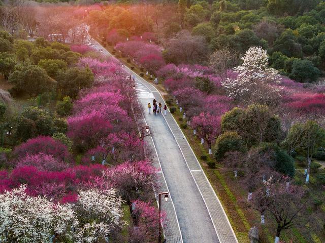 运河邀约，知音江城杭州临平文旅推介会在武汉成功举办