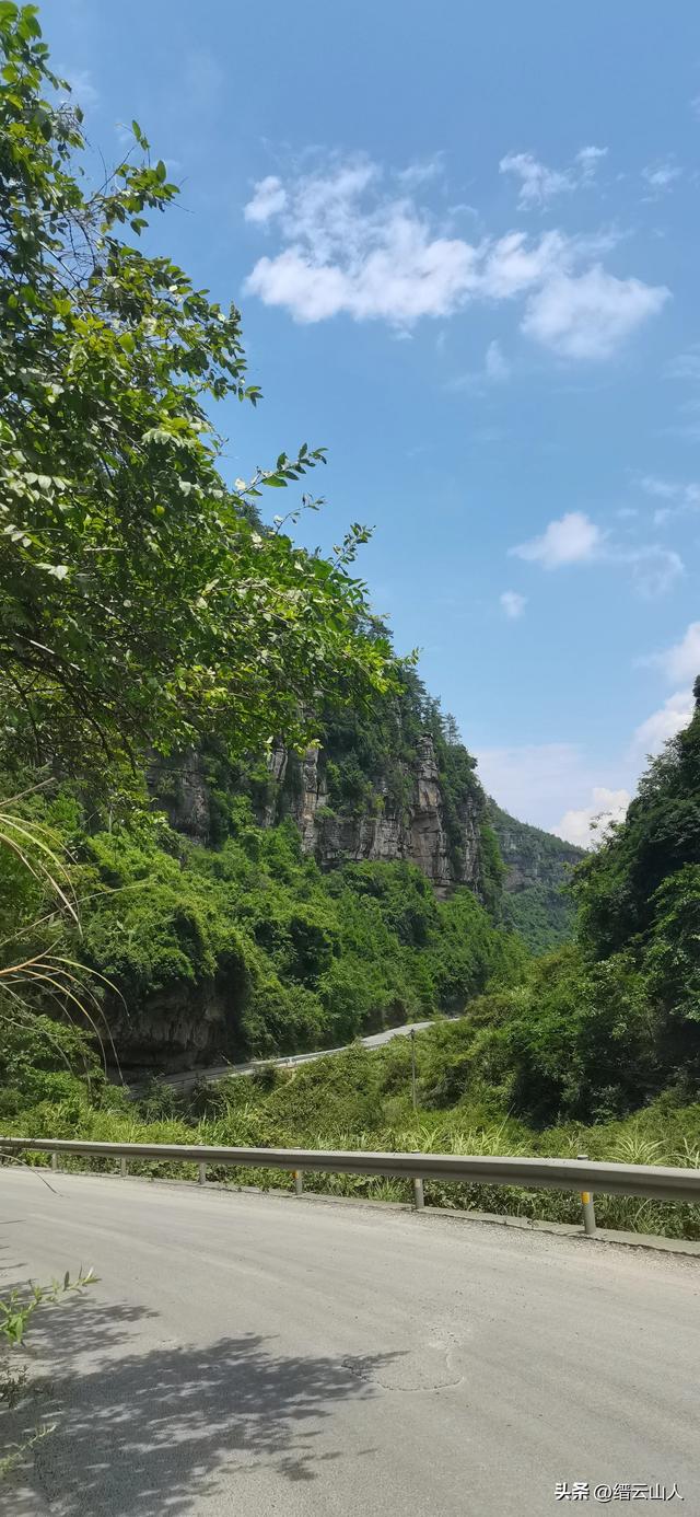 南川野游●山王坪（非景区）