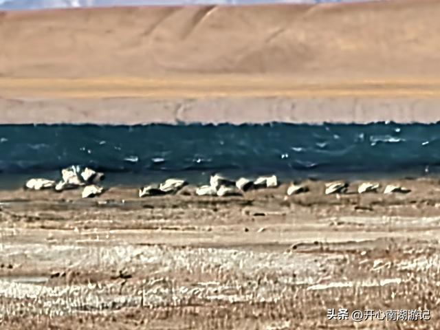 喀什经317到成都，尼玛-班戈，途经达则措、恰规措、色林措