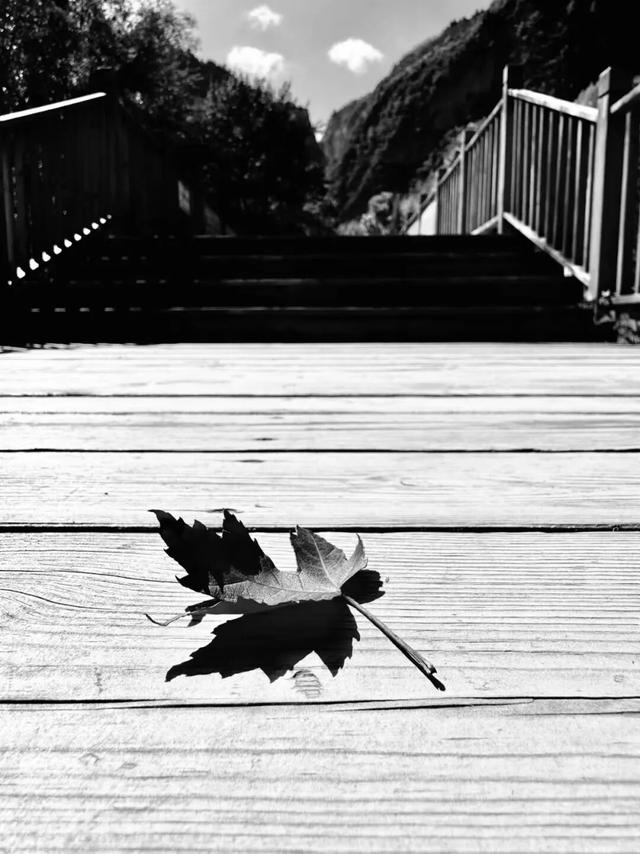 去捕捉秋的痕迹，一键点亮贵清山遮阳山景区的秋天！