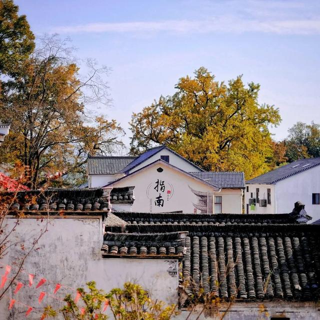 秋色盛宴！5条绝美线路解锁临安限定浪漫