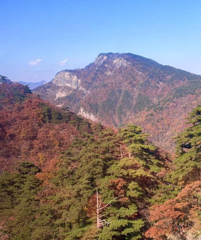 厌倦钢筋水泥包围，皖西深山小院，三天两夜不到200元