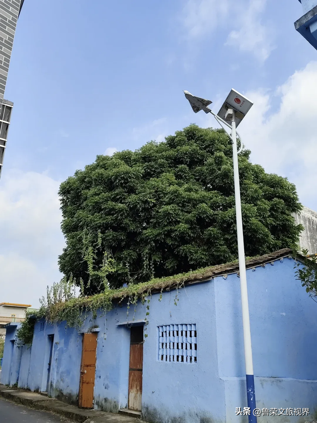 隐匿在广东的冬日秘境：恩平，一座20℃暖冬里的温柔小城