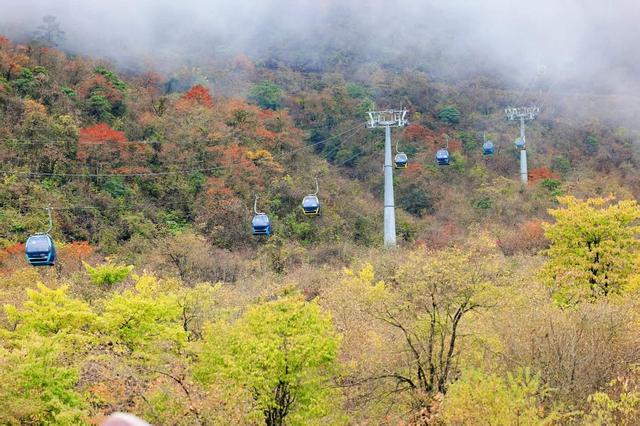 温泉暖身、红叶添彩 全省秋冬文旅市场持续“出圈”