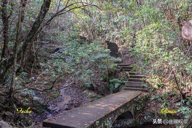 影记 | 衢州钱江源国家森林公园