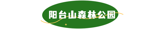 活力宝安城区指南｜山海蓝绿瞬间：山水连城，绿动宝安！