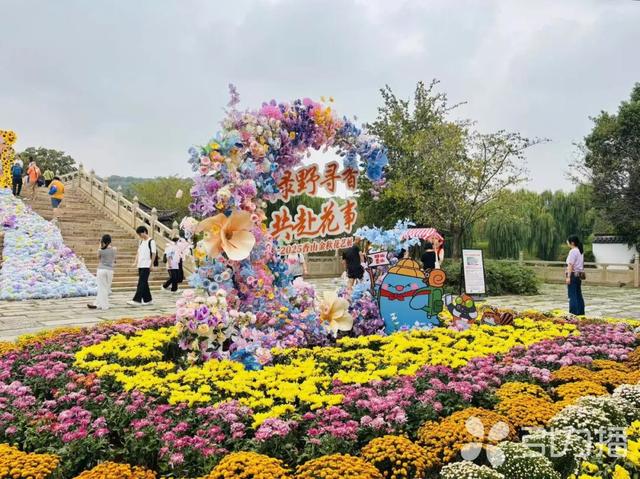 顶 流 阿 苏！