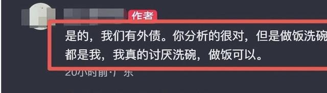 买洗碗机遭丈夫砸家后续：欠债20万，卖金买苹果17	，女子回应了
