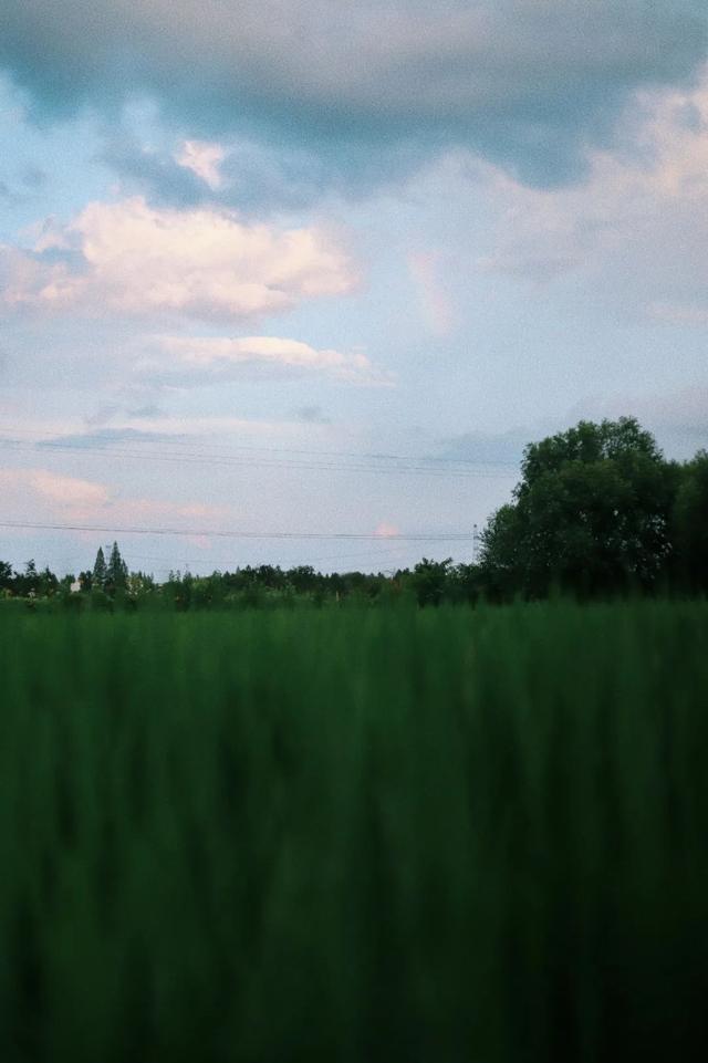 武汉夏天 | 黄陂3日游 · 回到童年