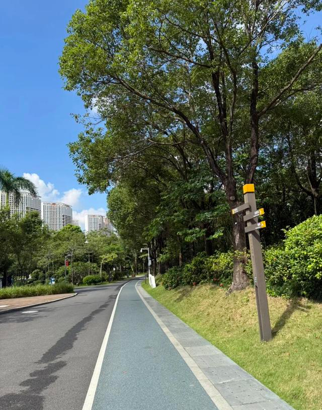 人到中年，一公里跑12分钟，这样的慢跑到底有没有用？