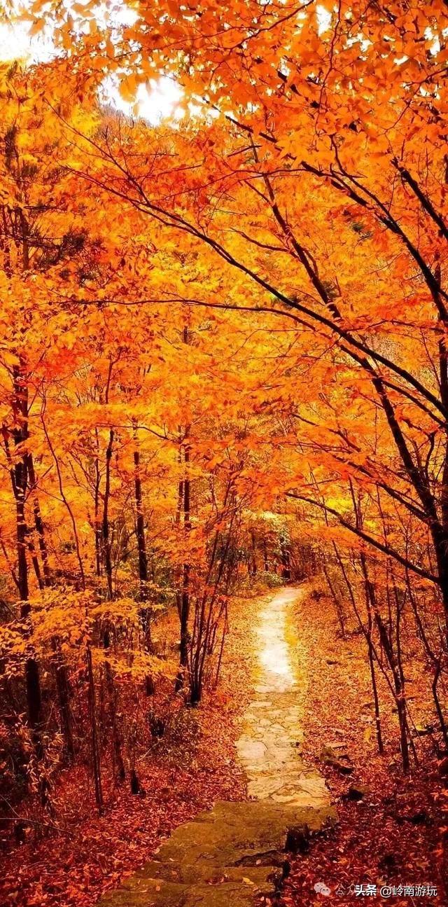 陕西各地最经典的赏秋景点，人少景美还省钱，错过就要再等一年！