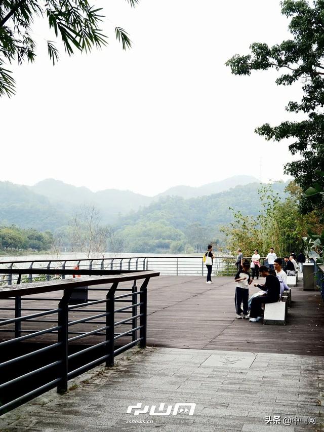 太出片啦！中山焦糖色「落羽杉」上线