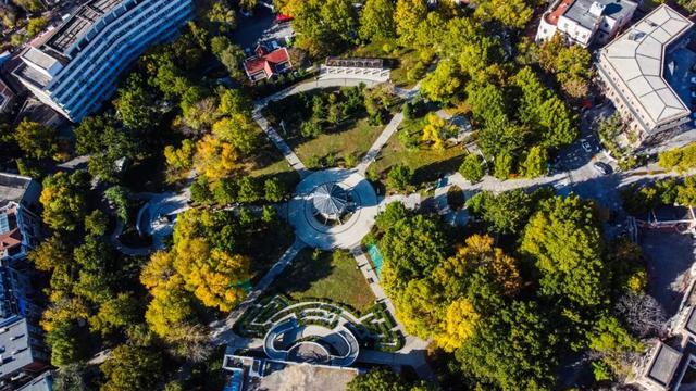 多图沉浸式感受和平秋韵