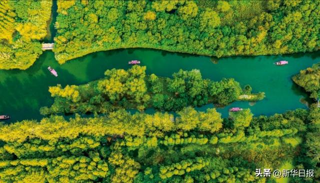 读诗词游水韵江苏丨与郑板桥重回故里，寻一幅水墨江南