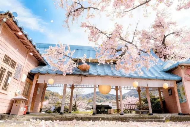 门票不限量免费送！明月山花海原居2月1日开园，解锁樱花美景+免票攻略+玩法指南！