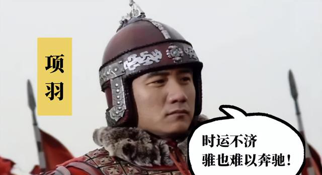 “霜眉”“普福”“将军负印”……老祖宗教你如何给小猫起名字