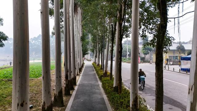 晒太阳~从从容容逛公园赏美景