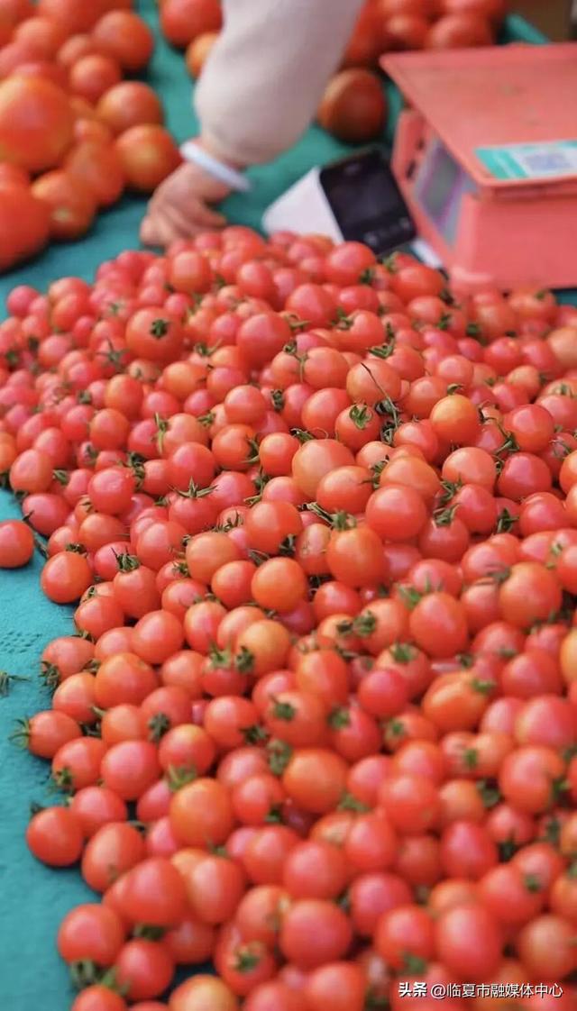 晨光里的烟火交响：临夏早市