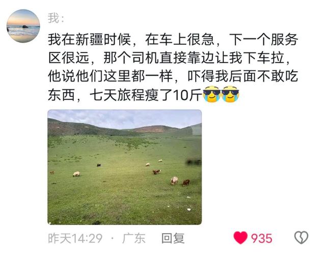 据说新疆的厕所，会惩罚每一个爱拉屎的人