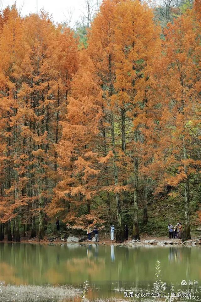 龙池秋色惹人醉