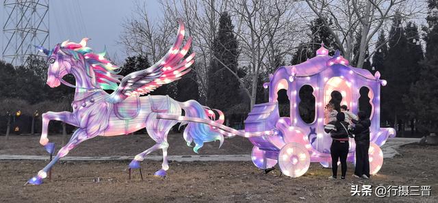 舜德花海新春嘉年华邀您共赏