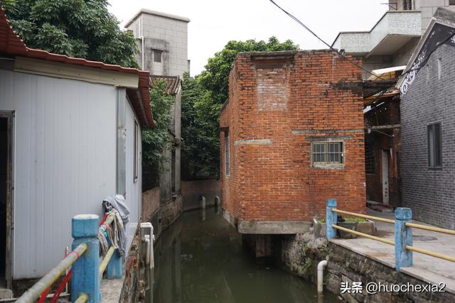 佛山真好逛——多彩的大墩村