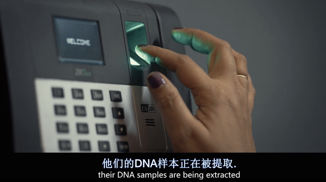 被片名耽误的复仇爽片，看完结局我想说：陈思诚快翻拍吧