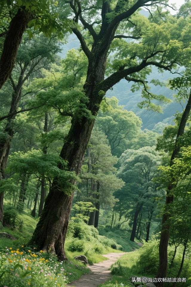探秘湘南第一峰:东安大庙口，藏在舜皇山的仙境胜地！