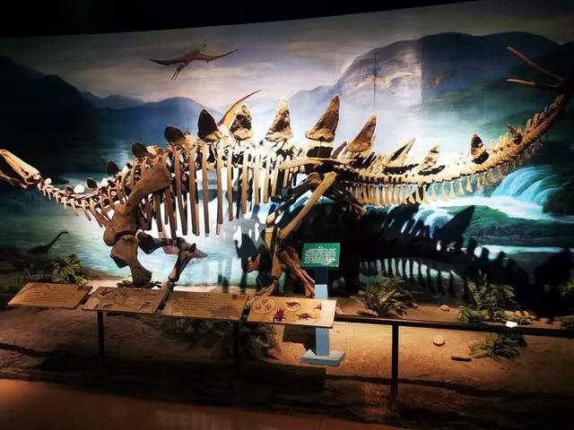 又踏甘肃地之三十三 金昌篇之三 金昌市博物馆（1）