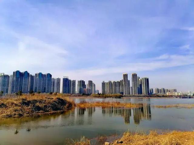 【河南“黑马”洛阳：郑州没预料	，开封没料到！】