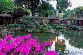 广东四大名园，不输苏州园林，你去过吗？图片