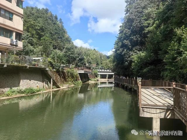 这个凭借21℃的天然清凉悄然“出圈”的森林小镇，别具异域风情！
