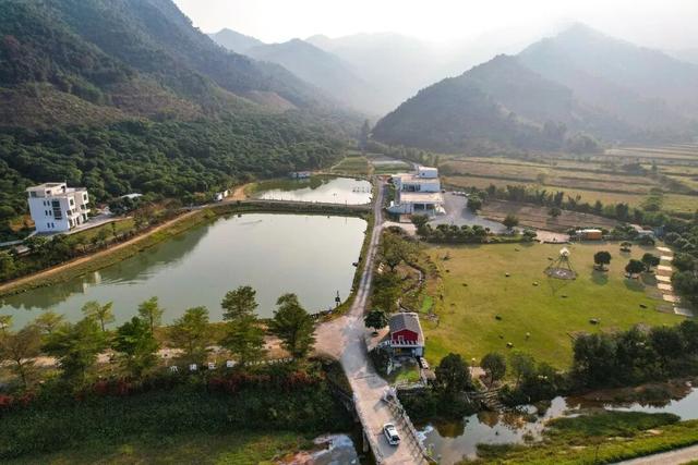 泥烩鸡、采摘、露营、民宿……肇庆这个500亩庄园，太会玩了！