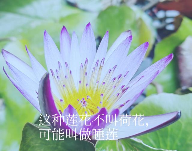 老年人的生活就是这样