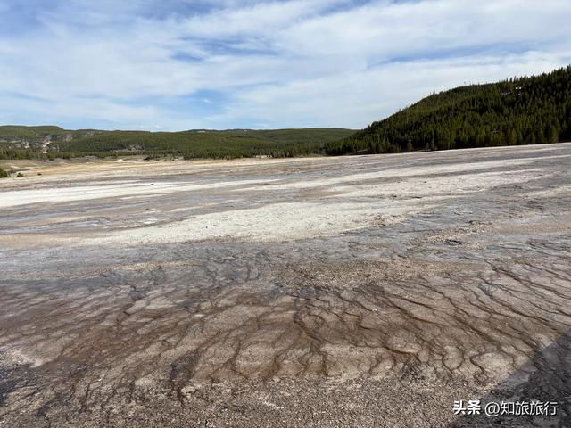 2025环球知旅——美西十三日(黄石公园5.9)