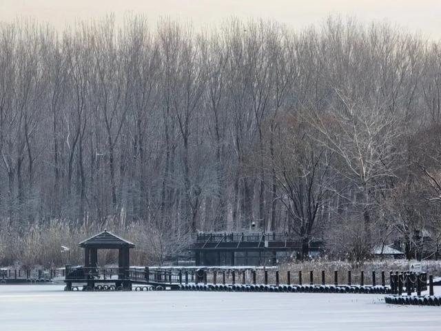 琼花碎玉间，顺义的冬日诗行——