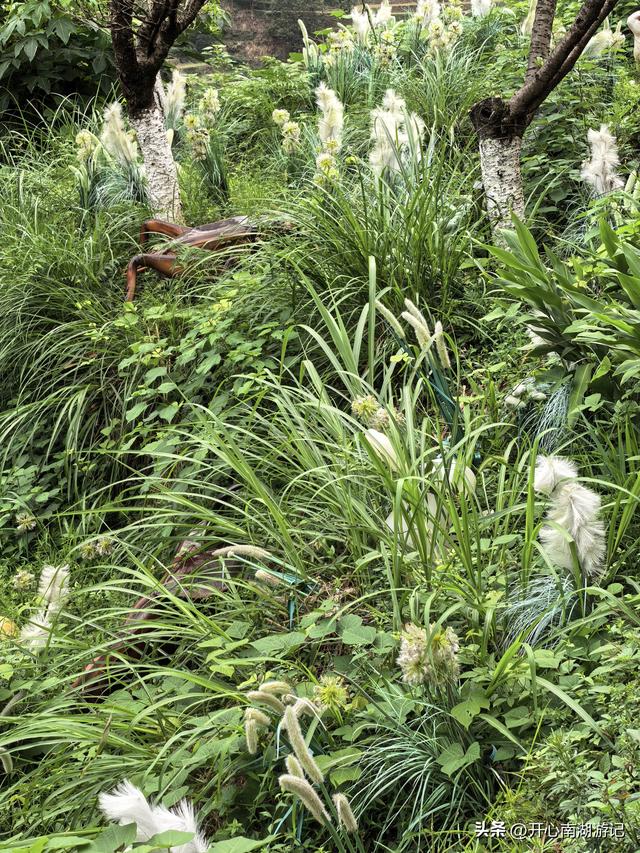 2025年秋老姐俩江西行，去篁岭看晒秋