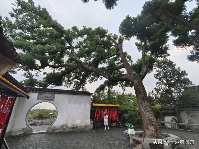 苏州虎丘打造夜游庙会迎双节，闭园时间延长到晚上九点