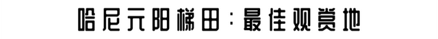 这个元旦，来元阳观赏梯田光影，参加百米长街宴吧