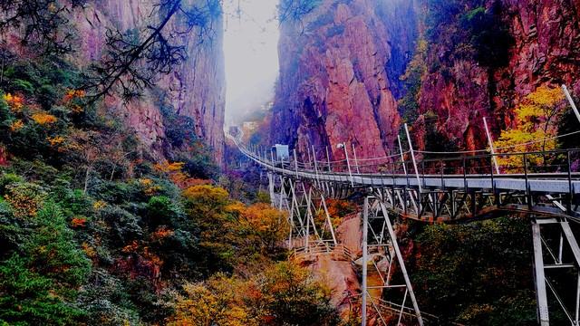不比黄山，枫景如画，杏色满城，安徽这几个小众地方特有精游感！
