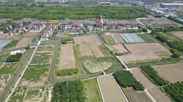 上海这10个村彻底火了！周末挤爆了，有你的老家吗？