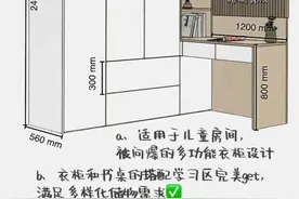 2023流行的6款衣柜设计 尺寸分享图片