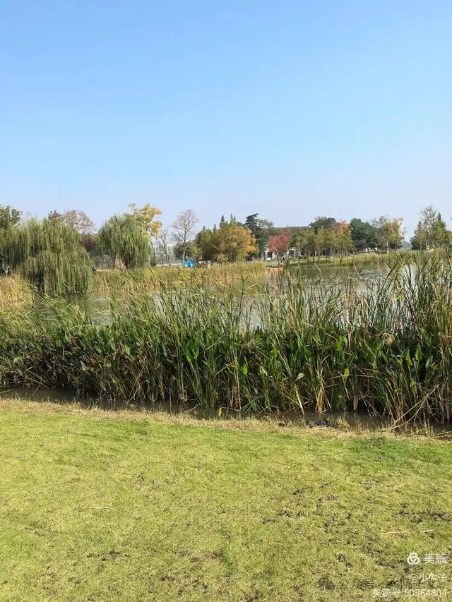 黎如芷｜秋意沐芳华，姐妹携手同行