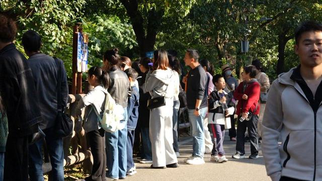 “秋假大军”涌入，湖州市各景区热度飙升