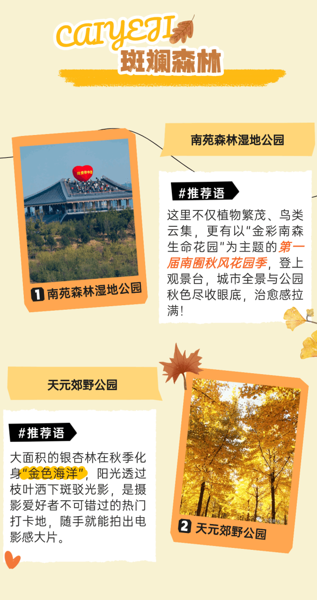 四大秋日板块带您玩转丰台～