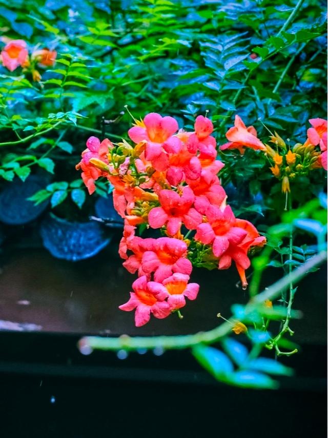 从“圈地收费’到‘还景于民”，多个景区已全免门票，你怎么看？