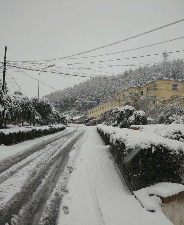 “上午立冬大雪封门，下午立冬单衣过冬”，今年立冬上午还是下午